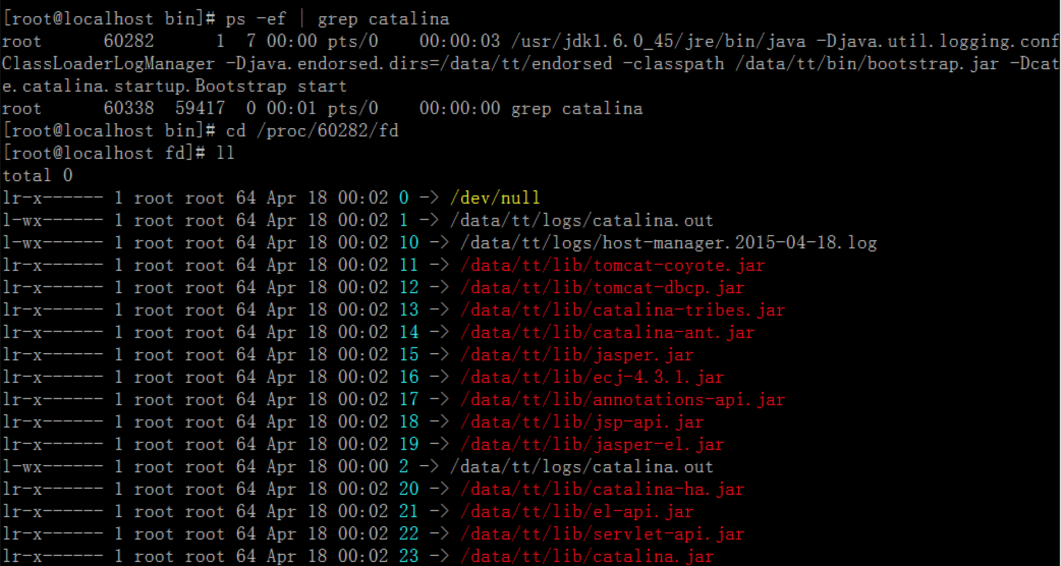 java-and-linux