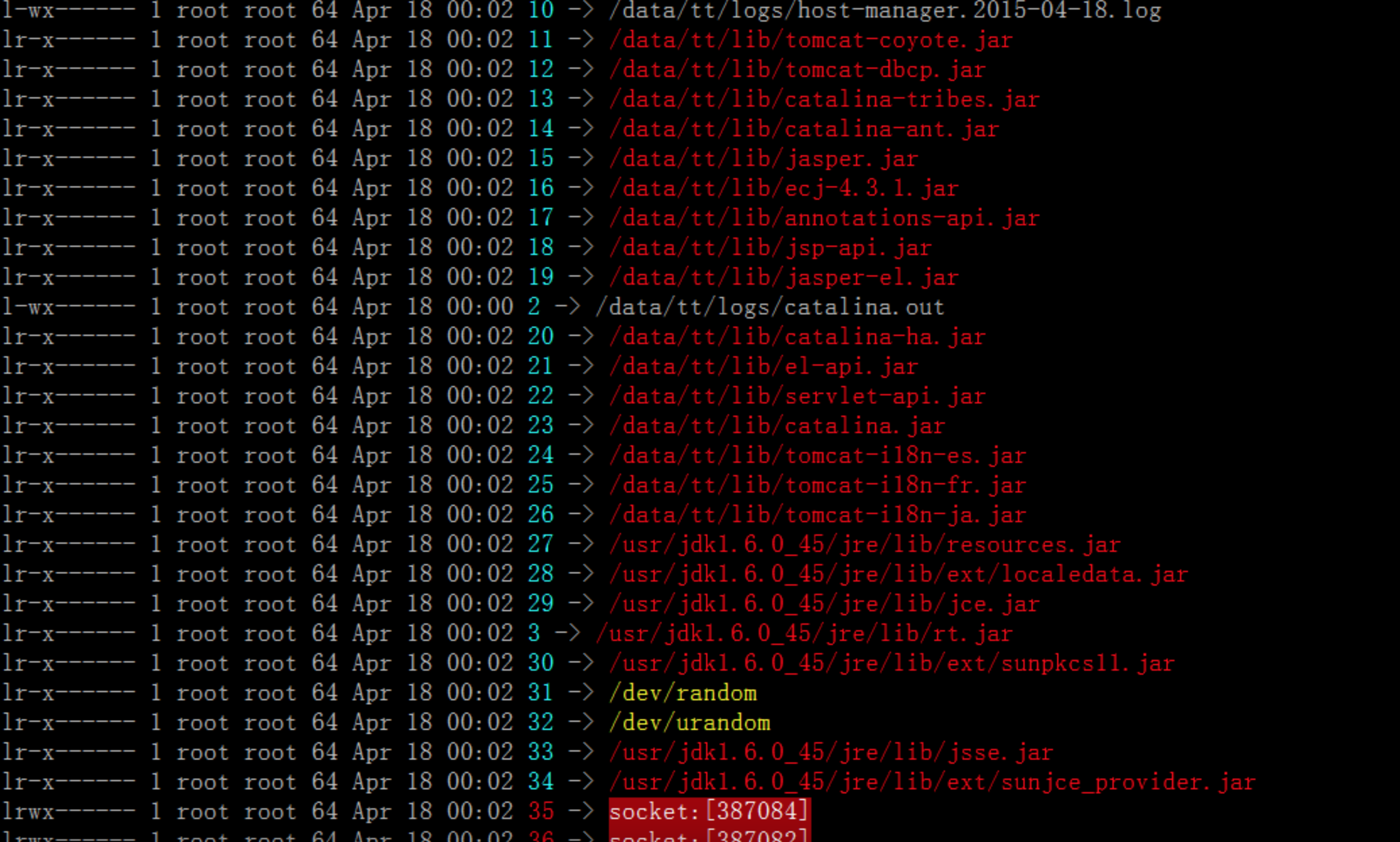 java-and-linux